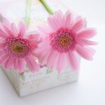 婚活でうまくいくひととは？うまくいくコツを紹介します