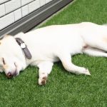 なんか体調がすぐれない・・・五月病かも