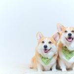 結婚相談所の3カ月ルールとは?? パート2